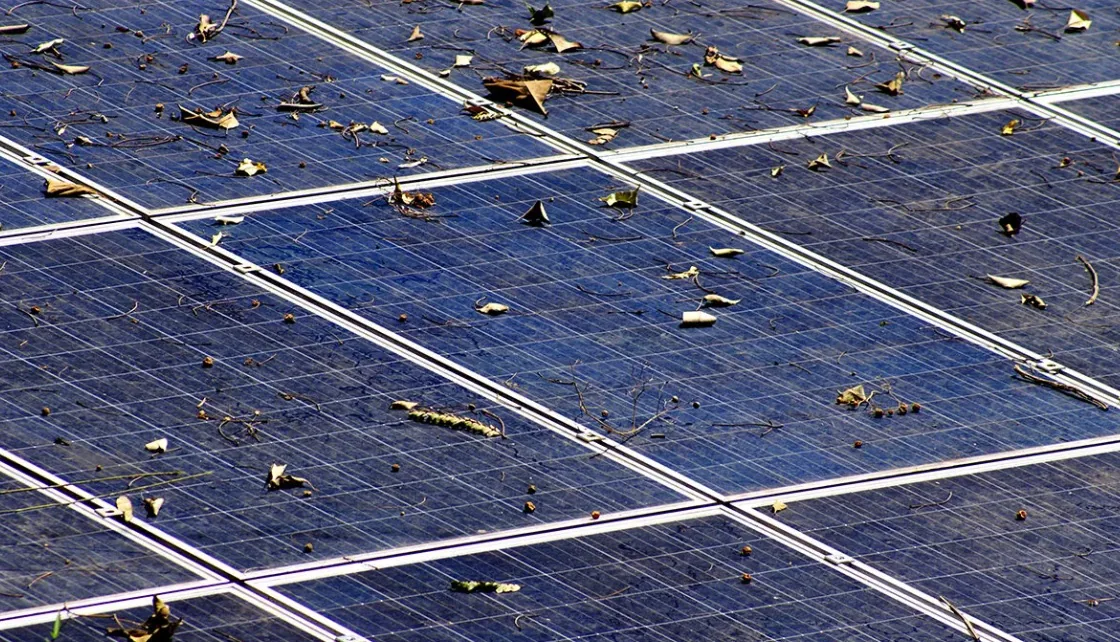 Solar panels covered with leaves and built-up debris before cleaning
